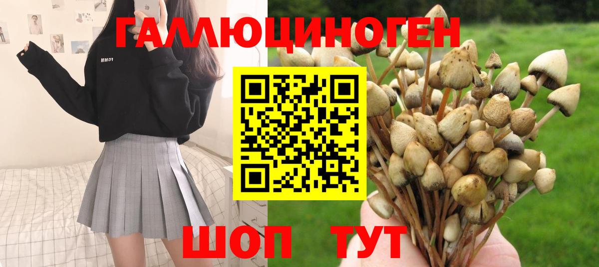 Псилоцибиновые грибы MAGIC MUSHROOMS  цена   Дзержинский  Вход с VPN 