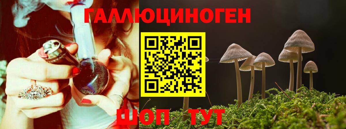 Галлюциногенные грибы Psilocybe Дзержинский